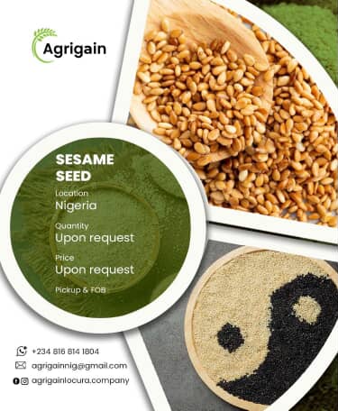 Sesame Seeds