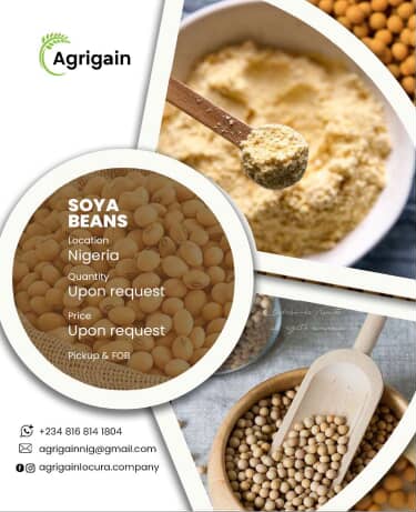 Soya Beans