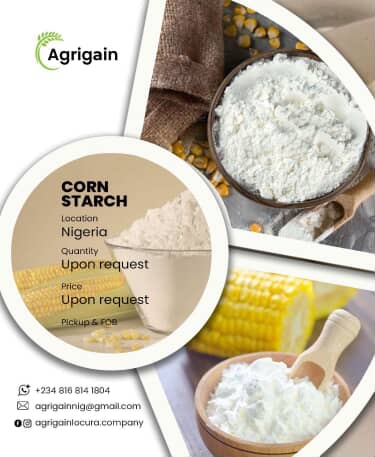 Corn Starch