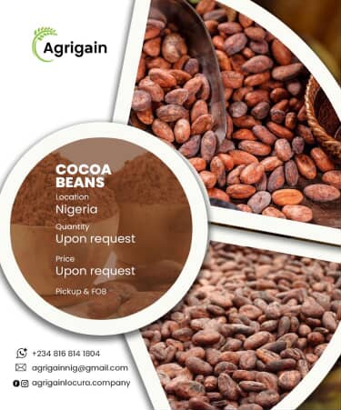 Cocoa Beans